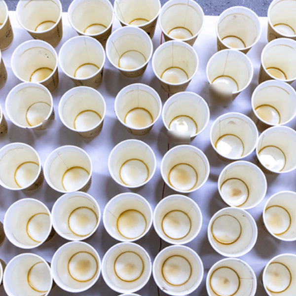 La riduzione della plastica globale offre soluzioni pratiche
