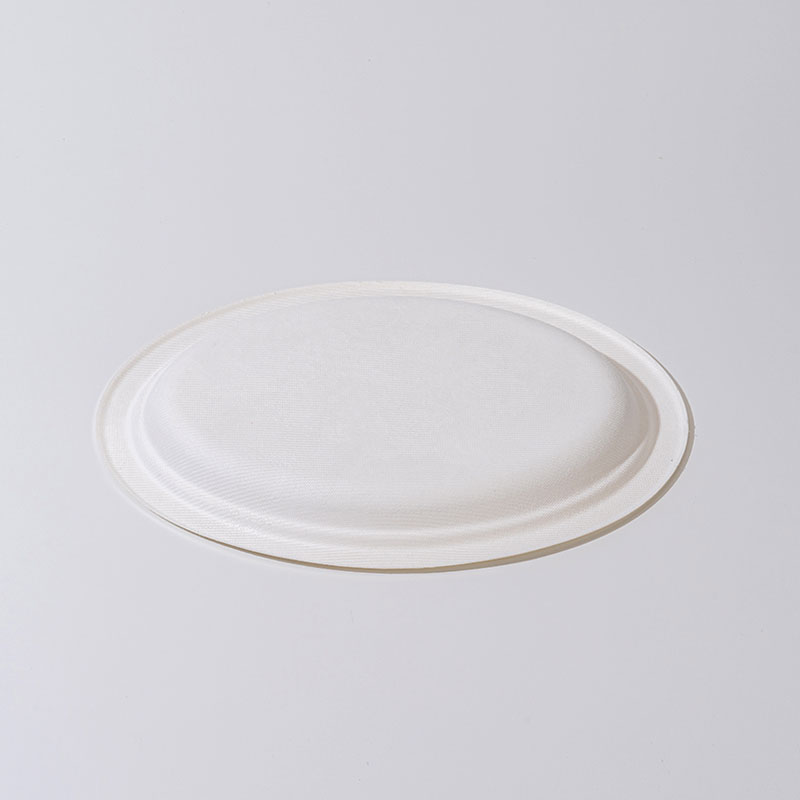 Quanti giorni impiega un piatto ovale di polpa di canna da zucchero per decomporsi?